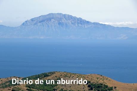 Cosas que hacer en verano en la costa de Málaga