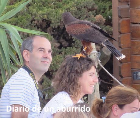 Cosas que hacer en verano en la costa de Málaga