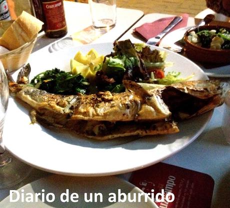 Cosas que hacer en verano en la costa de Málaga