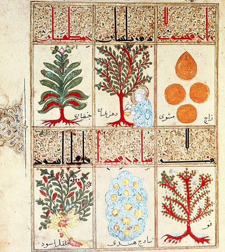 La triaca, antídoto contra venenos