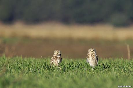 Sur bonaerense II (Balneario San Cayetano)