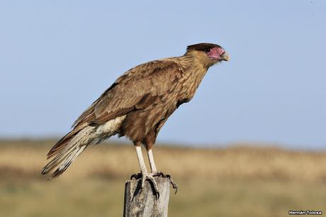 Sur bonaerense II (Balneario San Cayetano)