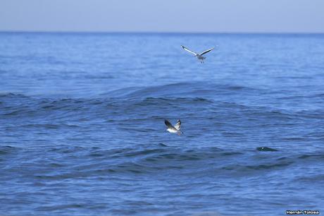 Sur bonaerense II (Balneario San Cayetano)