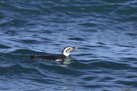 Sur bonaerense II (Balneario San Cayetano)