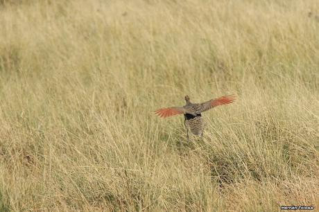 Sur bonaerense II (Balneario San Cayetano)