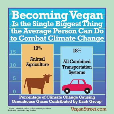 De qué hablo cuando hablo de veganismo (mitos y verdades)