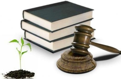¿Cual es la Importancia y Beneficios de las Leyes Ambientales? importancia de la Legislacion Ambiental