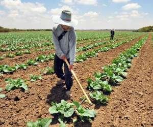 Día Mundial de la Conservación del Suelo