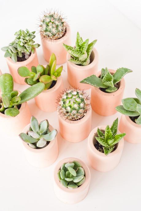 DIY: maceteros mini de colores para tus cactus favoritos