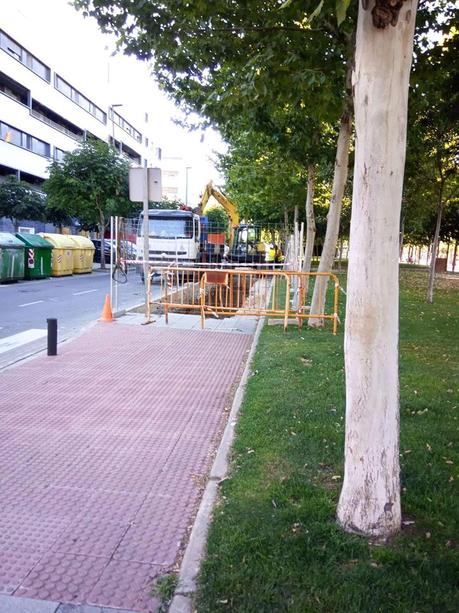 RESIDUOS SIN RECOGER, LAS FRONTERAS Y FALTA DE MANTENIMIENTO EN CALLES.