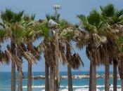 (impresionantes) fotos inolvidables momentos playas Israel