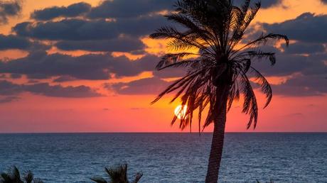 10 (impresionantes) fotos de inolvidables momentos en las playas en Israel