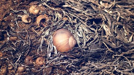 Daños causados ​​por el piro-terrorismo de Gaza