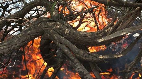 Daños causados ​​por el piro-terrorismo de Gaza