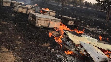 Daños causados ​​por el piro-terrorismo de Gaza