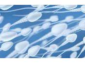 ¿Qué hacer acerca erecciones dolorosas durante noche?