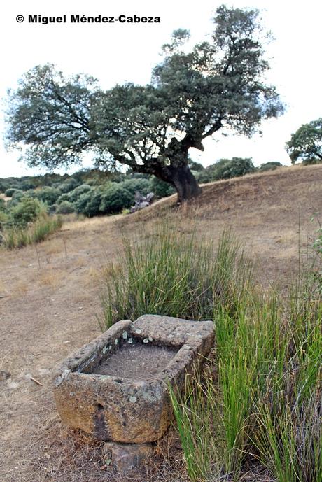 Camino de los Bandoleros a Guadalupe: Desde Mohedas a Puerto de San Vicente