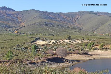 Camino de los Bandoleros a Guadalupe: Desde Mohedas a Puerto de San Vicente