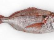 ¿Sabías comer pescado reduce riesgo mortalidad cardiovascular?