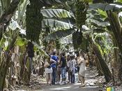 Tours visitas guiadas Civitatis