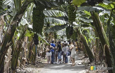Tours y visitas guiadas con Civitatis guía de viajes donde estés con civitatis