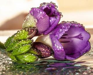 HE PREGUNTADO POR TI...