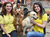 Renault ecuador donó alimento canino fundación