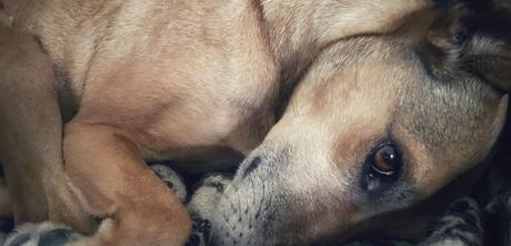 Instrucciones para ser feliz diez minutos