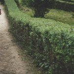 Centaurus Games 2018 – Galería de imágenes