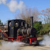 Paseo en locomotora a vapor