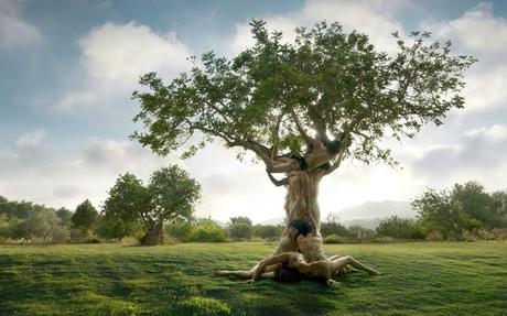 El árbol de los deseos: Esta parábola nos muestra cómo saboteamos nuestra vida