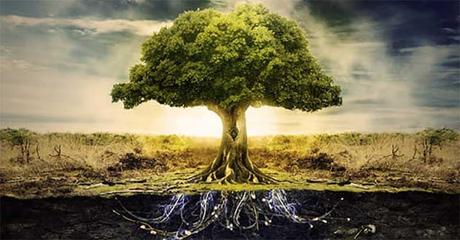 El árbol de los deseos: Esta parábola nos muestra cómo saboteamos nuestra vida