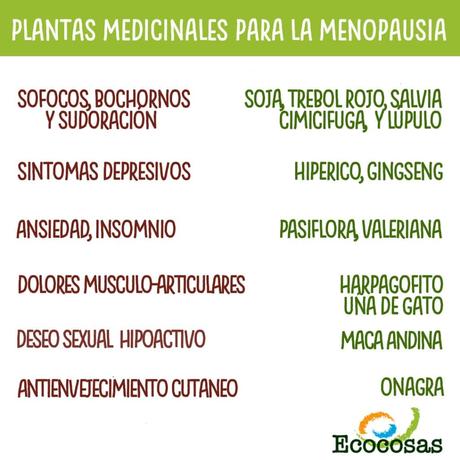 Menopausia: Plantas medicinales para vivirla naturalmente