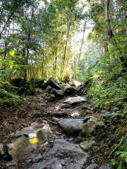 Huesca en 7 días: qué ver y hacer en la región camino-ibon-plan