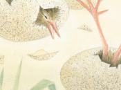 Lecciones vuelo (Pirkko Vainio).