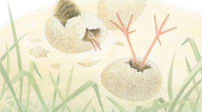 Lecciones de vuelo (Pirkko Vainio). Lecciones de vuelo (Pirkko Vainio).