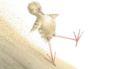 Lecciones de vuelo  (Pirkko Vainio).