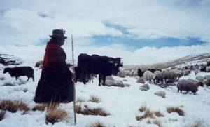 Las heladas en el Perú