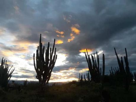 Nuestra vida en Colombia (VI): el desierto de La Tatacoa