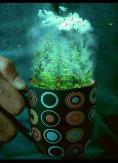 DÉJAME VER EN TUS OJOS...