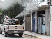 Bajan casos dengue edoméx