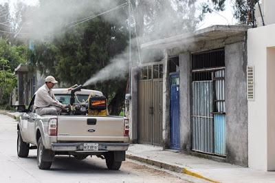 BAJAN 50% CASOS DE DENGUE EN EL EDOMÉX