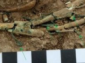 Descubren arpa griega antigua mundo Rusia