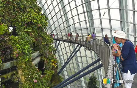 Gardens by the bay, un jardín botánico alucinante Pasarela en el invernadero del Gardens by The Bay