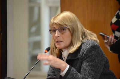 Alma “Chani” Sapag “Figueroa tendría que esperar su tiempo para disputar la gobernación”