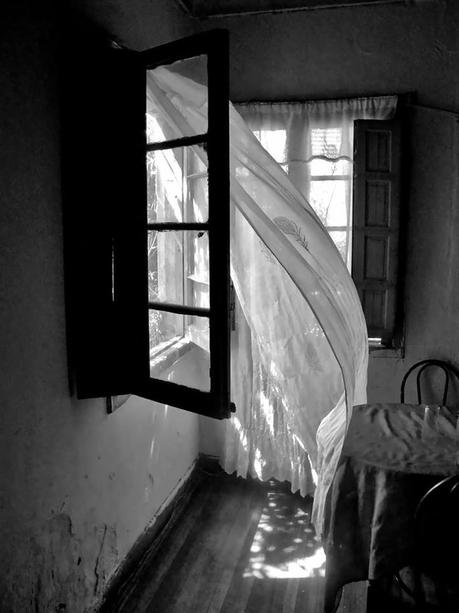 Desastres existenciales