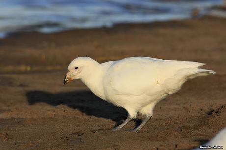 Sur bonaerense III (Puerto de Quequén)