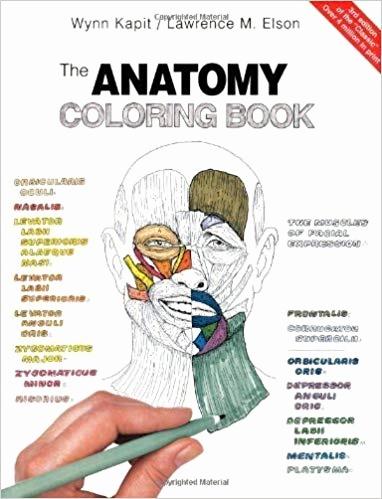 Elegant Wynn Kapit Anatomy Coloring Book Elegant Wynn Kapit Anatomy Coloring Book