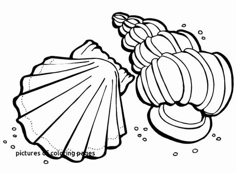 Unique Cute Coloring Pages for Teens