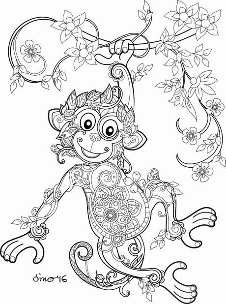 Luxury Monkey Coloring Books